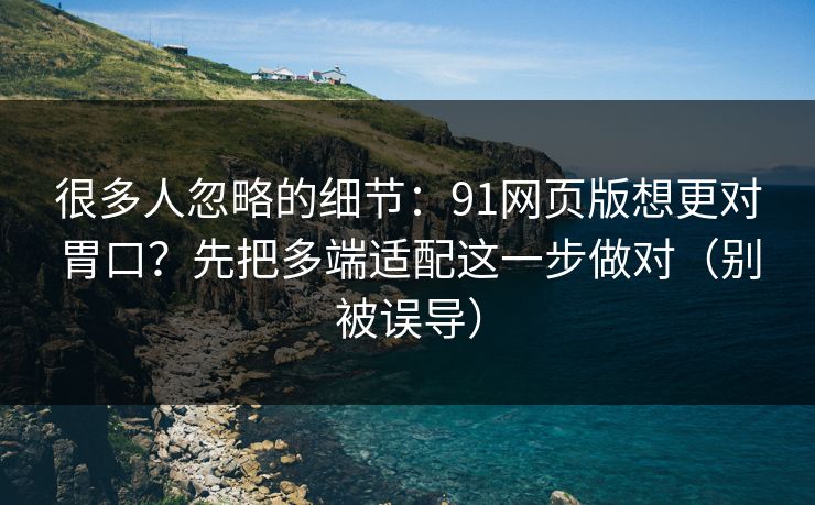 很多人忽略的细节：91网页版想更对胃口？先把多端适配这一步做对（别被误导）