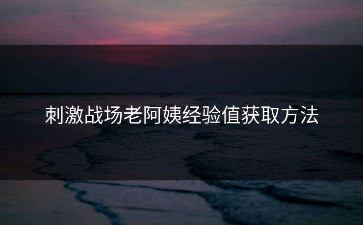 刺激战场老阿姨经验值获取方法