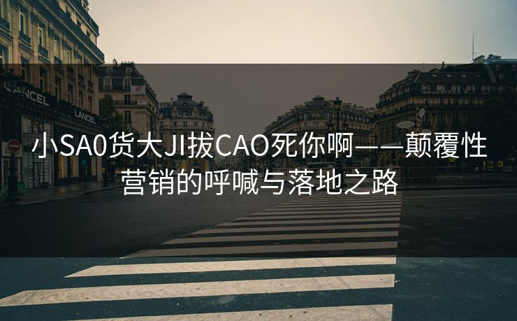 小SA0货大JI拔CAO死你啊——颠覆性营销的呼喊与落地之路