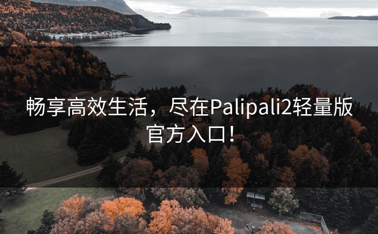 畅享高效生活,尽在Palipali2轻量版官方入口! 畅享高效生活,尽在Palipali2轻量版官方入口!